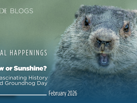Shadow or Sunshine? The Fascinating History Behind Groundhog Day