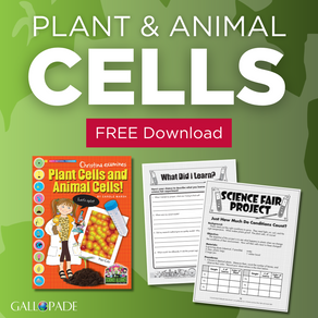 Plant and Animal Cells