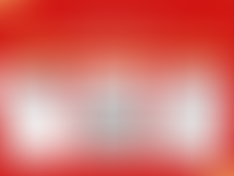 Celebrate the Chinese New Year!