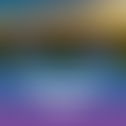 Summer Olympics: Holidays & Heritage