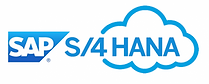 SAP-S4Hana-Cloud5.png
