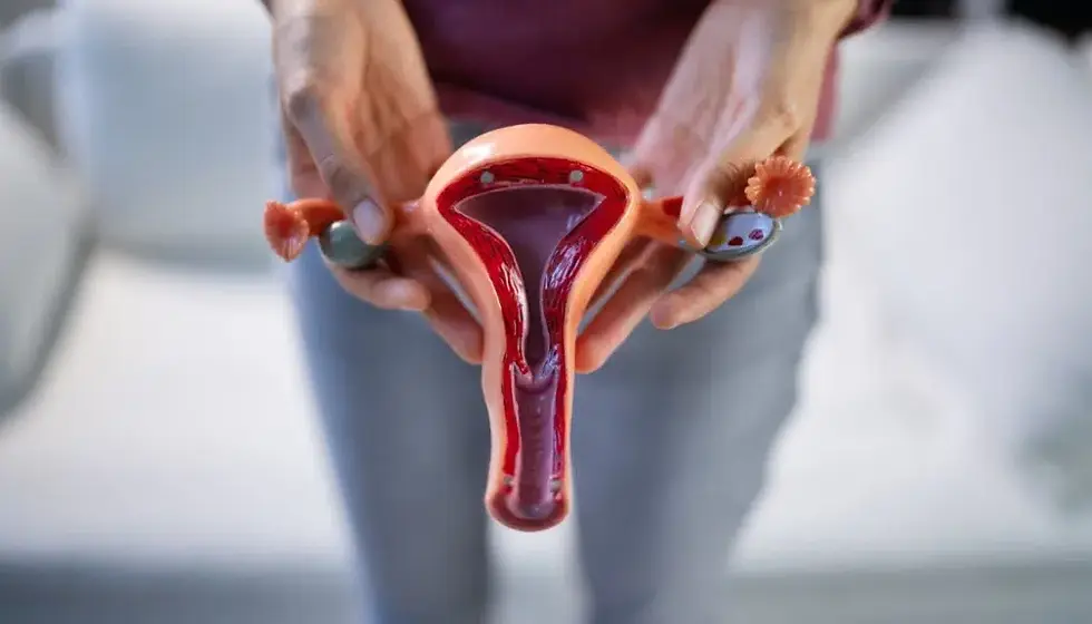 V-ShotO-Shot-Treatment-Procedure-For-Vaginal-Rejuvenation-with-stem-cell-therapy-1024x585.