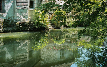 Beaulieu les Loches 2-KodakPortra400.jpg