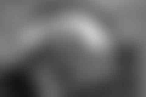 Self-portraits