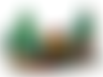 910056 Off-Road Adventure