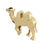 Thumbnail: Camel
