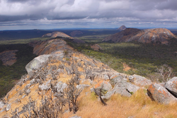 Muntinondo Wilderness