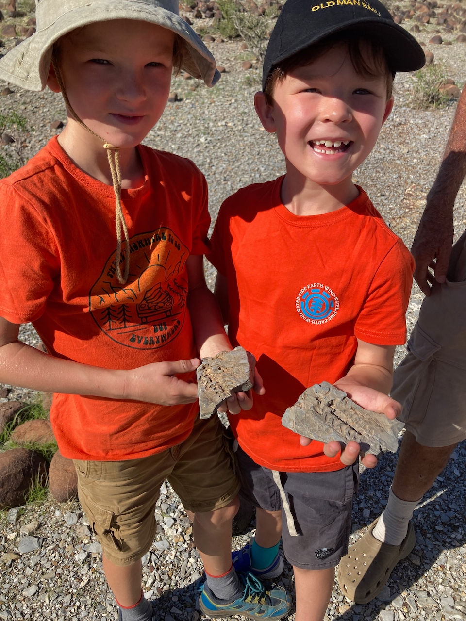 Sammy Jack fossils
