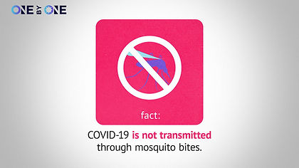 Fact_Mosquitos_16x9_Twitter_051320.jpg