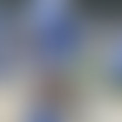 We will be their voices