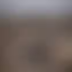 Restoring Sovereignty