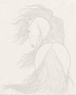 Sketch 2 wip