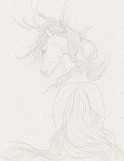 Sketch 3 wip