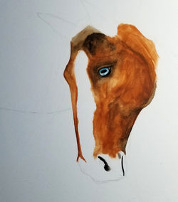 sketch bihrle horse 4
