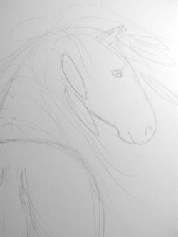 sketch bihrle horse 2
