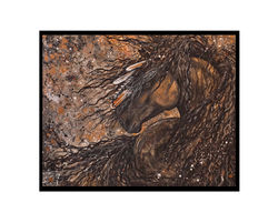 Horse Bihrle Original hh1 matted new