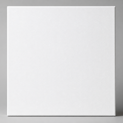 canvas blank