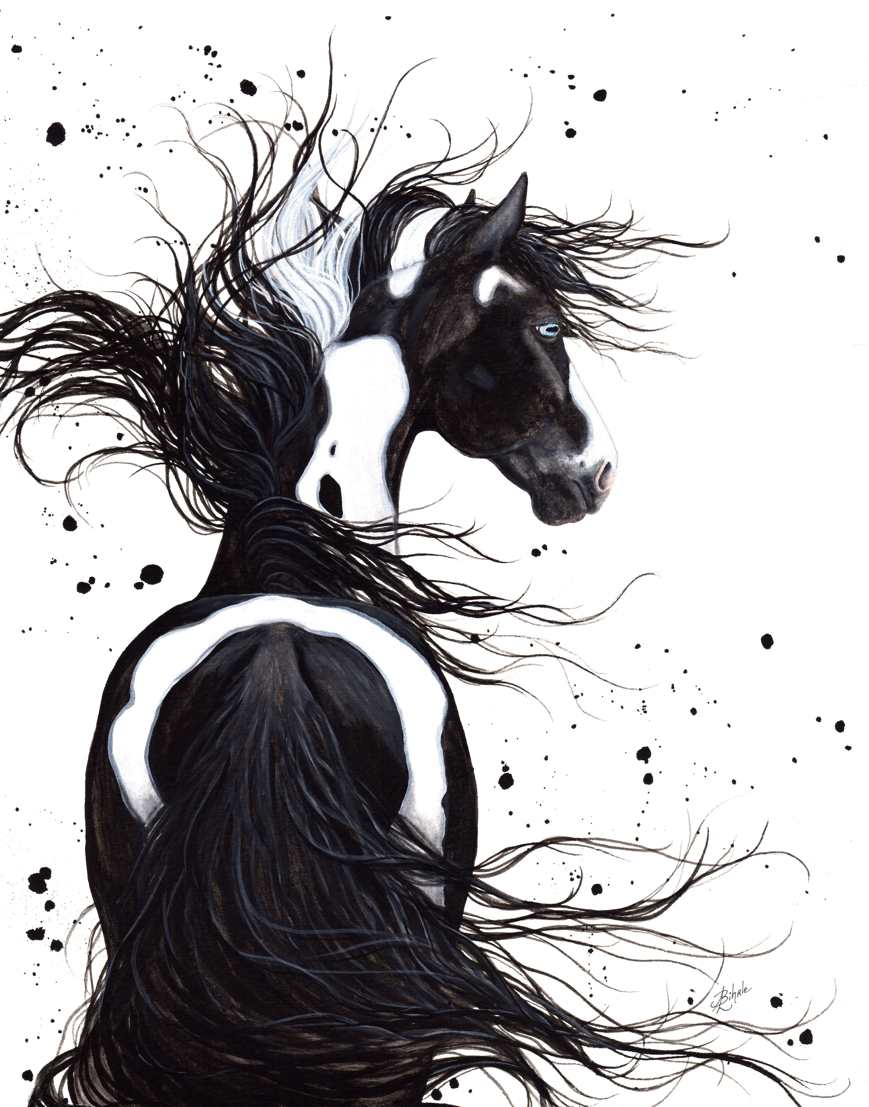 Black & White Pinto Horse | Canvas Print