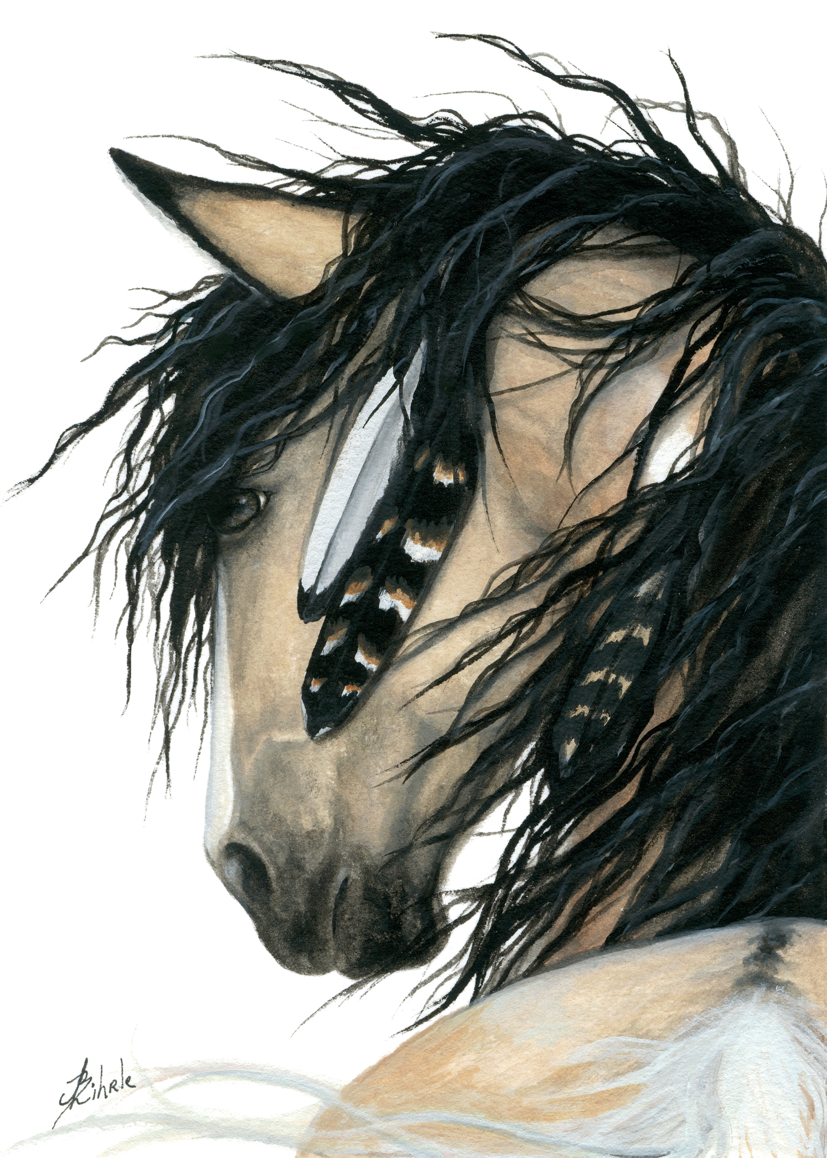 Buckskin Horse | Canvas Print