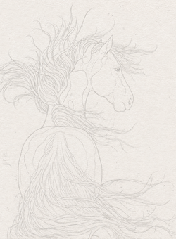 Sketch 6 wip