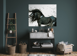 horse display room pictorem (24)