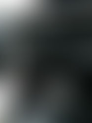 レクサス RXにもよく馴染む