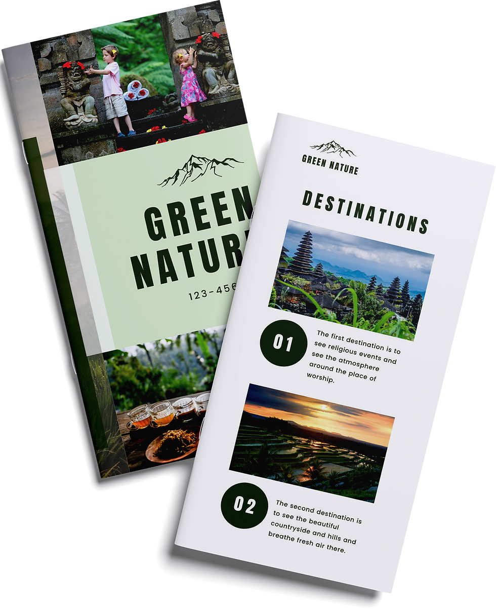 DL Brochure Mockup.png