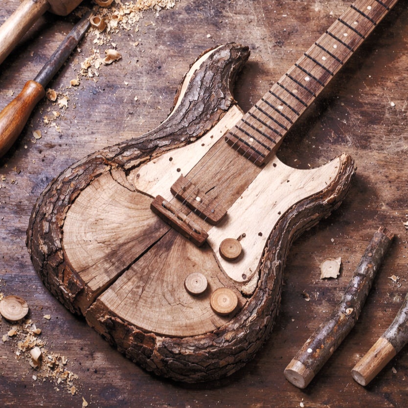 Influenza del Legno nella Liuteria Elettrica