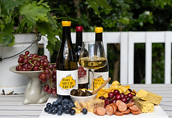 Too Much Truth Wines with Cheeseboard