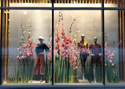 Spring Window 2019
