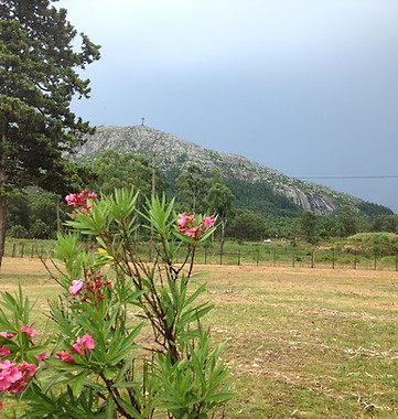 paisaje