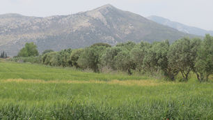 The Mythic Plain of Marathon