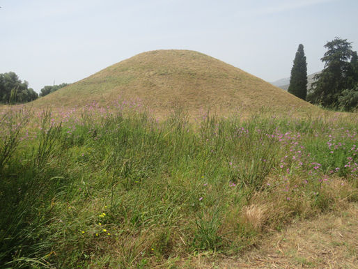 The Battle of Marathon: Wandering Through History