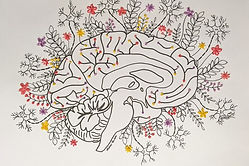 The Fruit of Neurogenisis_Olivia Hansen.jpg