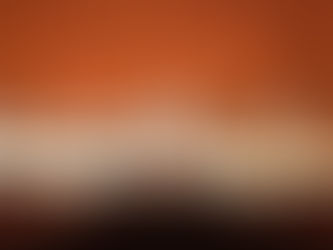 第37回定期演奏会が終了しました！