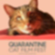 ThumbnailQuarantineCat.jpeg