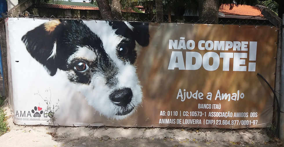 poRTÃO_2_AMALO