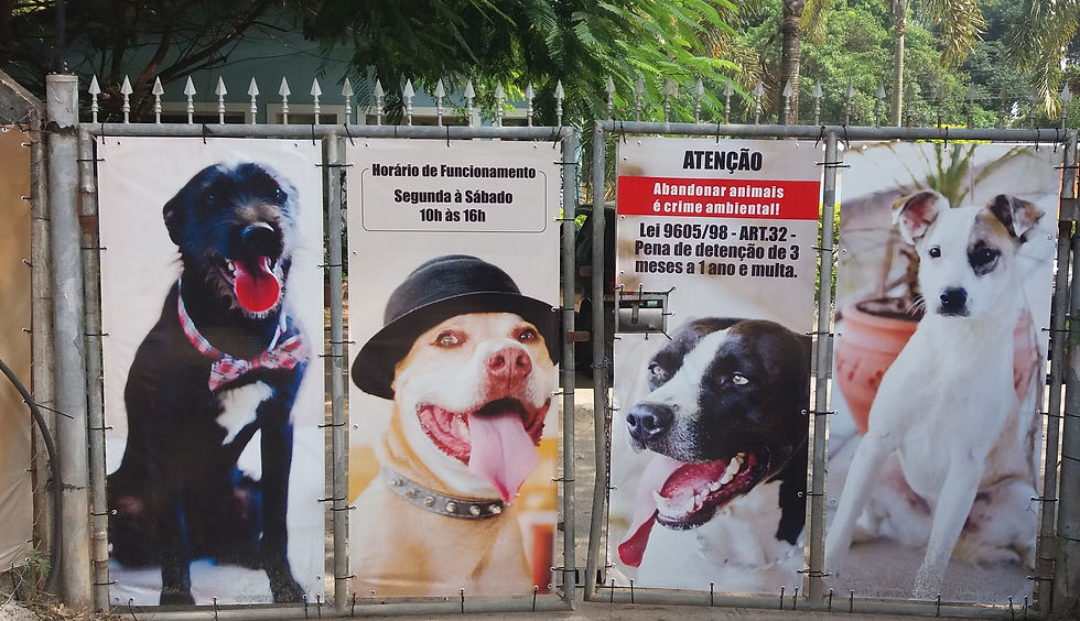 pORTÃO_AMALO