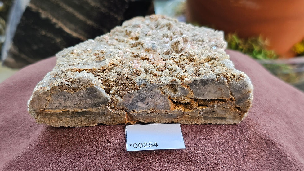 Thumbnail: Large Rhodochrosite + Quartz Specimen, Montana USA