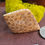 Thumbnail: Fossilize Coral Cabochons View 2