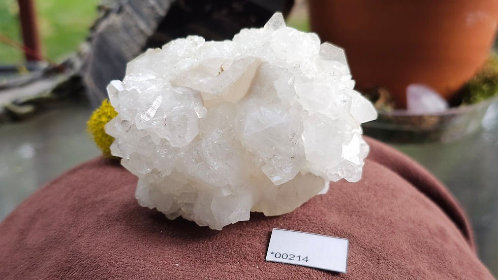 Thumbnail: Apophyllite Specimens