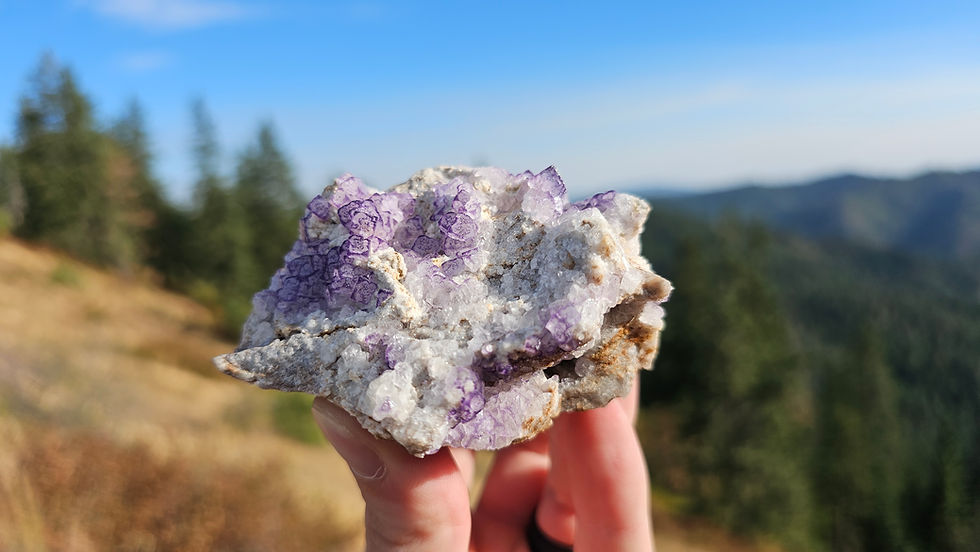 Thumbnail: Purple Fluorite
