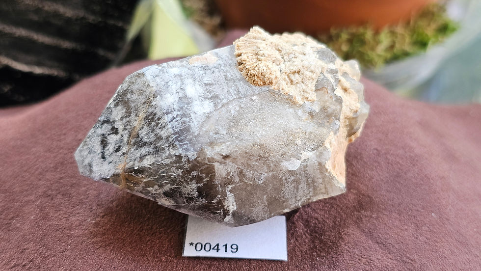 Thumbnail: Little Gem Mine Smoky Quartz, Montana, USA (Group2)