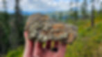 Pyrite on Matrix View 1