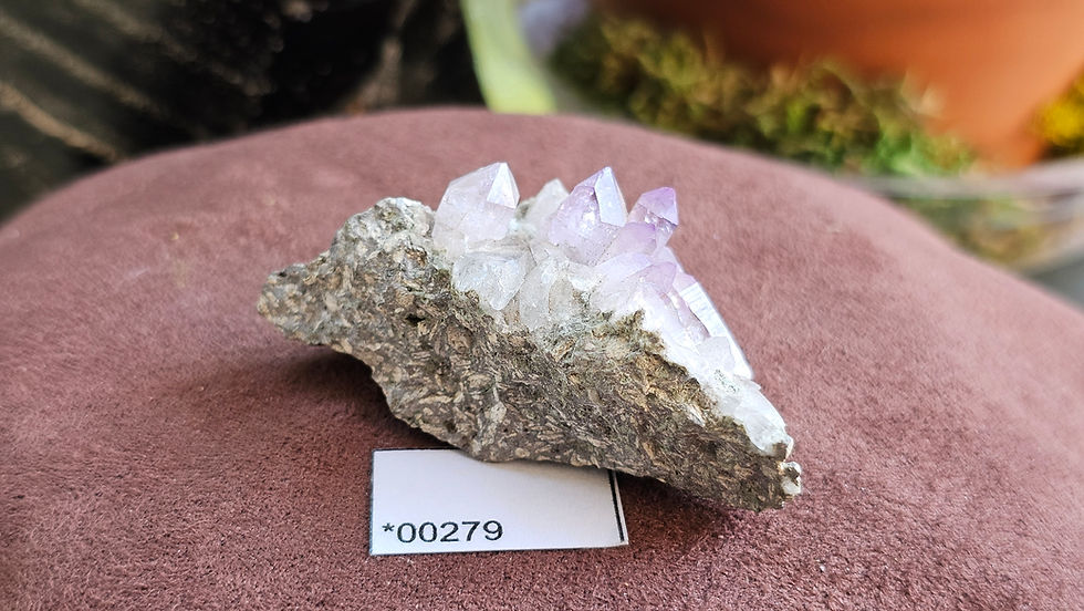 Thumbnail: Amethyst Cluster