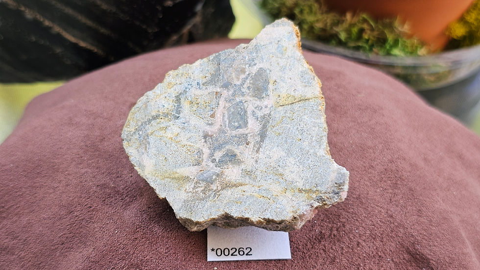 Thumbnail: Medium Rhodochrosite + Quartz Specimen, Montana USA (Group 4)