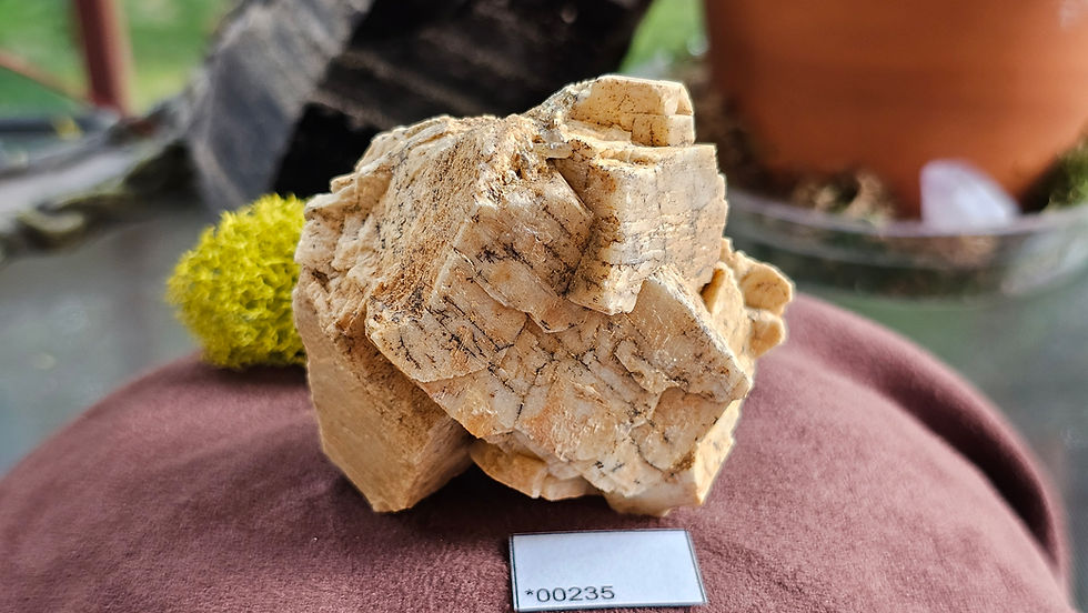 Thumbnail: Microline Specimens