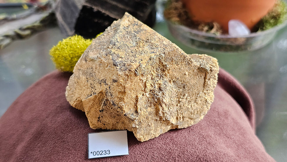 Thumbnail: Microline Specimens