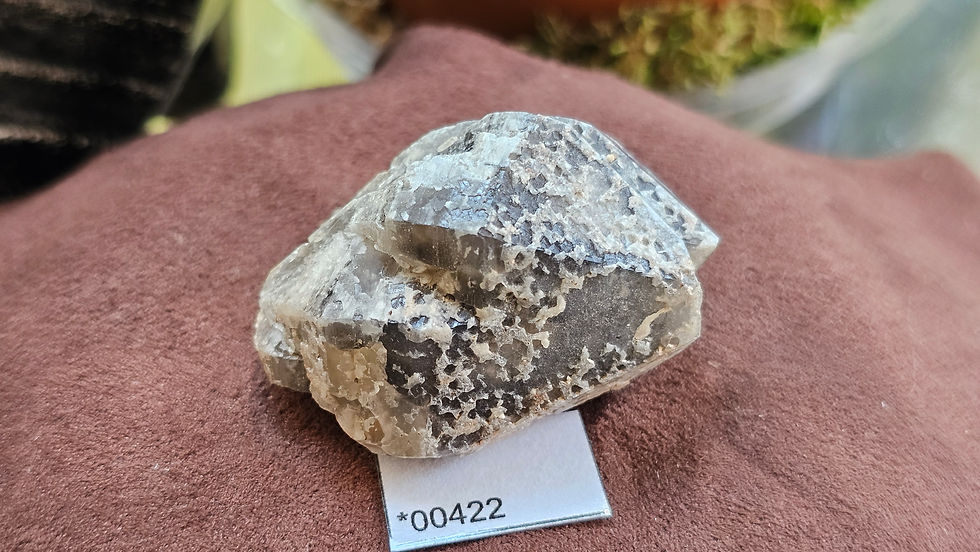 Thumbnail: Little Gem Mine Smoky Quartz, Montana, USA (Group3)