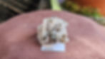 Thumbnail: Small Epidote + Quartz Specimens, Montana, USA Group 2